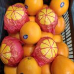 WhatsApp-Image-2025-12-25-at-3.31.07-PM