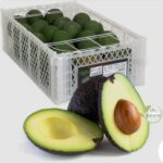 WhatsApp-Image-2026-02-24-at-7.19.29-PM