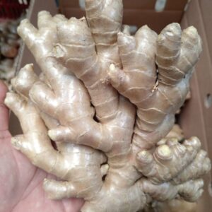 a8a87df9-f34b-4b1b-b864-b45ed393eddc