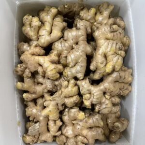 微信图片_20251224081318_1362_10