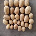 WhatsApp-Image-2026-04-08-at-2.24.06-PM