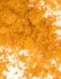 tumeric-cut-1