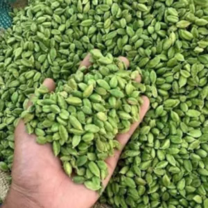Cardamom India