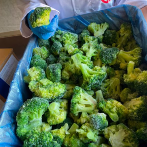 Broccoli Egypt