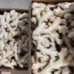 Fresh Ginger available