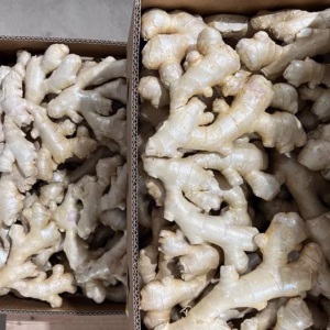Fresh Ginger available