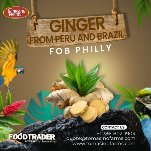 Special offer on Ginger from Peru and Brazil from Tomasino Farms. Hurry! FOB Philly. For more information, please email us at quote@tomasinofarms.com or call us at (786) 802-1904
https://foodtrader.biz/?s=ginger+peru
https://shorturl.at/Fy5tY
#tomasinofarms #foodtrader #ginger