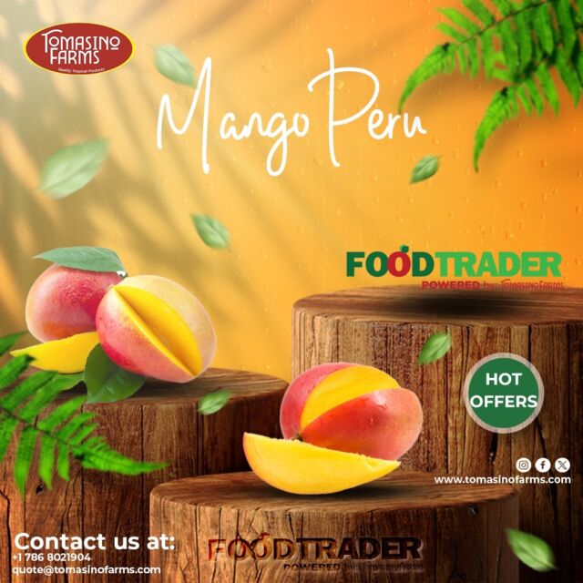 Mangoes from Peru now available at Tomasino Farms 🥭

For more information, please email us at quote@tomasinofarms.com or call us at (786) 802-1904

#peru #mango #season