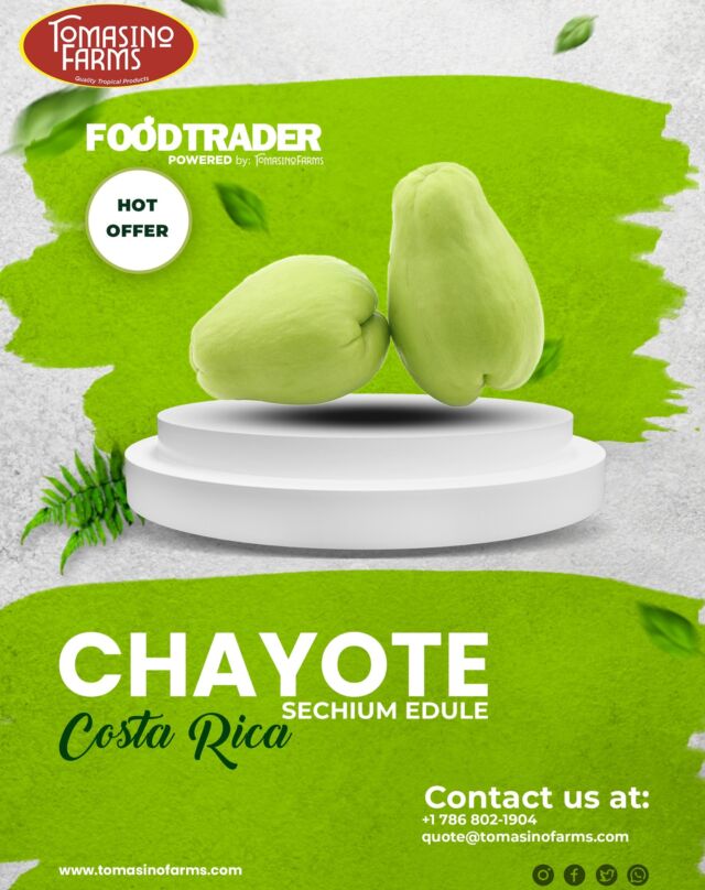 Special offer on Chayote (Sechium edule) from Costa Rica by Tomasino Farms.
For more information, please email us at 
quote@tomasinofarms.com or call us at (786) 802-1904
https://foodtrader.biz/?s=Chayote+Costa+Rica
https://shorturl.at/Fy5tY
#tomasinofarms #foodtrader #chayote