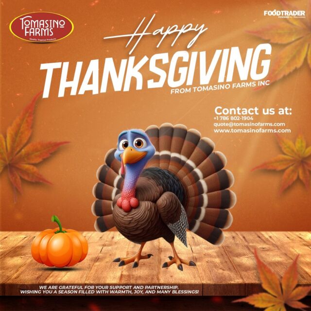 Happy Thanksgiving! 🦃🍁
Wishing you all a wonderful holiday full of blessings and beautiful memories. 🍂❤️

#thanksgiving2024🦃🍁 #tomasinofarms #foodtrader