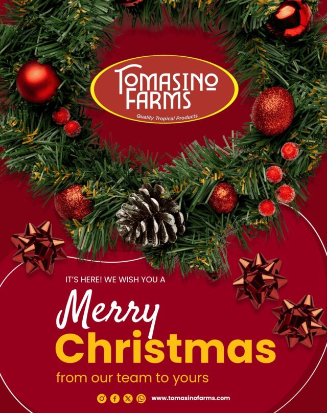 Merry Christmas from Tomasino Farms Inc. 🎄

Wishing you and your loved ones a holiday season filled with joy, love, and prosperity. Thank you for being a cherished part of our journey this year. May your days be merry and bright, and may the new year bring growth and abundant blessings.

Warm holiday wishes,
Tomasino Farms Inc.

#tomasinofarms #foodtrader #christmas2024