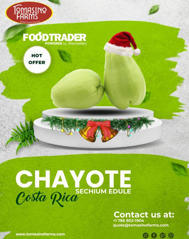 Christmas offer: Chayote (Sechium edule) from Costa Rica, available through Tomasino Farms.
For more information, please email us at
quote@tomasinofarms.com or call us at (786) 802-1904
https://foodtrader.biz/?s=Chayote+Costa+Rica
https://shorturl.at/Fy5tY
#tomasinofarms #foodtrader #chayotesquash